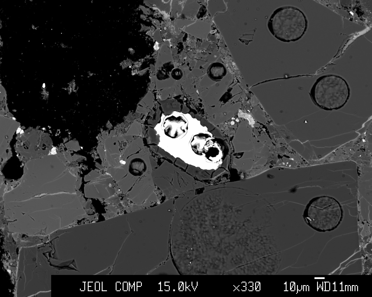 Opal-Studded Meteorite Hints at Origins of Earth's Water